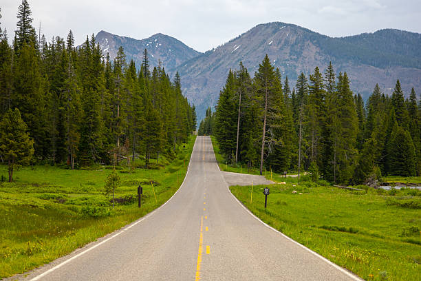 Scenic views in Yellowstone National Park