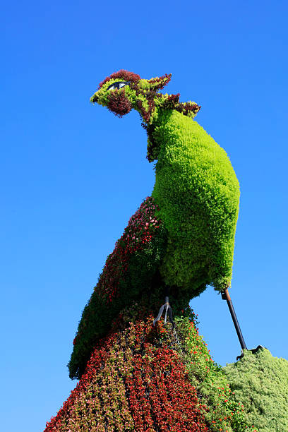 istock peacock green sculpture shape in a park 2227307468