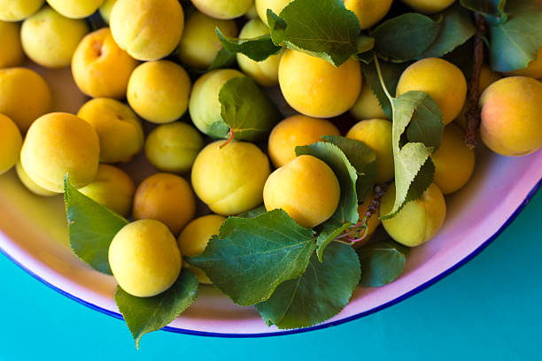 Fresh-Picked Apricots and Leaves on Tray Overhead