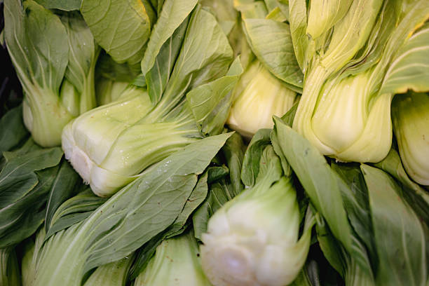 istock Fresh Bok Choy: A Delightful and Nutritious Green Vegetable 2227313348
