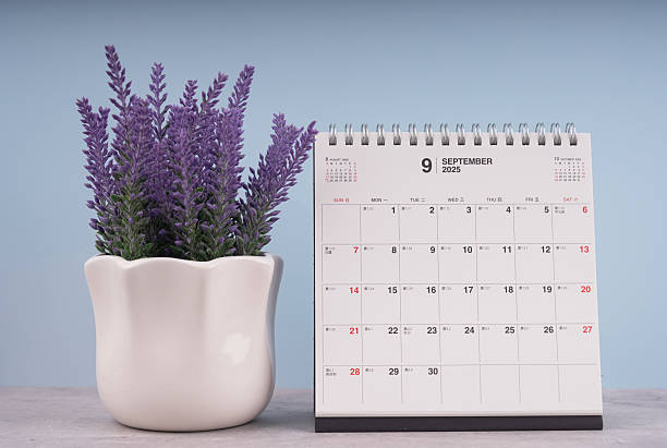 istock Clean white desktop calendar on the table with houseplant. Using for schedule appointment or year plan concept. Minimalist month Sept 2025. 2227313473
