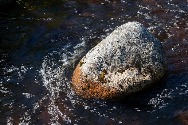 stagnant water