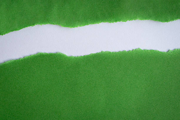 istock Torn green paper into half on top of white background 2227318133