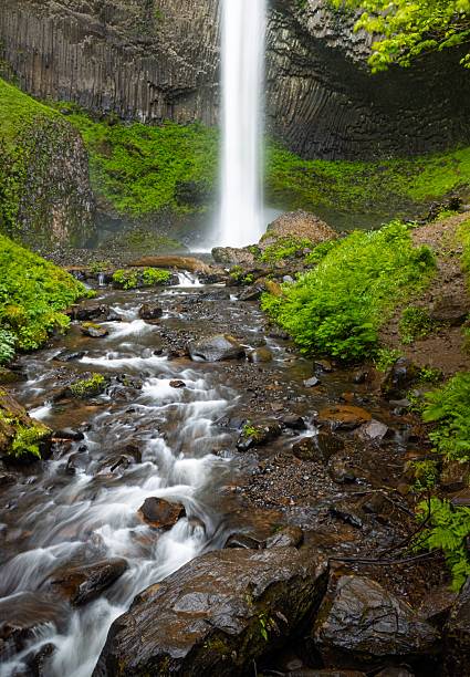 istock Waterfall and Rocky Stream Amidst Lush Greenery 2227318580