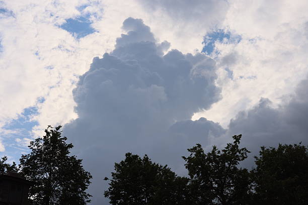 A stunning and dramatic cloud formation rises majestically over the silhouetted trees beneath a partly cloudy sky