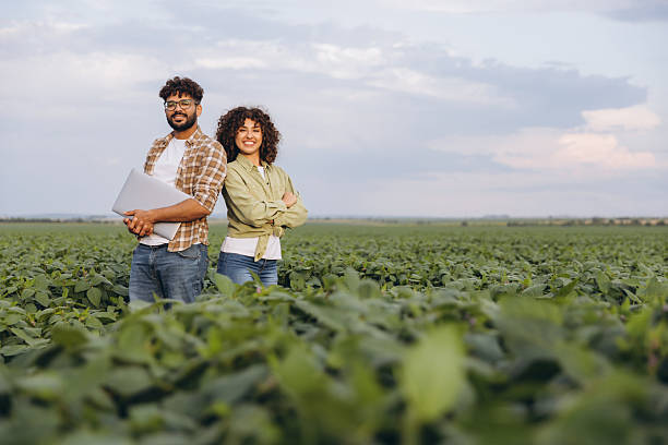 istock Interracial agronomists team working in soybean plantation using laptop 2227322373