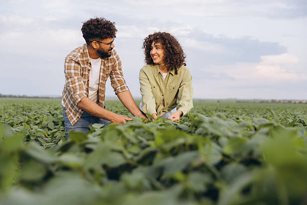 istock Agronomists examining crops in soybean field 2227322419