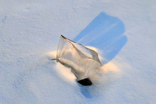 a large piece of ice and a frozen tree