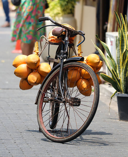istock A bicycle with a basket full of coconuts on the back 2227324618