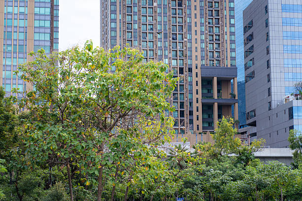 istock Green city park with modern office building 2227328305