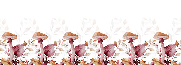 istock Watercolor autumn seamless border frame. Orange, burgundy, red maple leaves, mushrooms, spikelets, dry branches, twigs. 2227328649