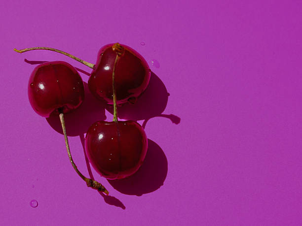 istock On a vibrant purple background, creating a deep contrast, three glossy, dark red sweet cherries are placed, adorned with tiny water droplets. 2227328971