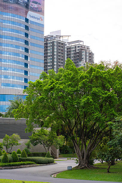 istock Green city park with modern office building 2227330816