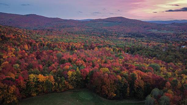 istock Vibrant Autumn Forest Aerial View 2227331821