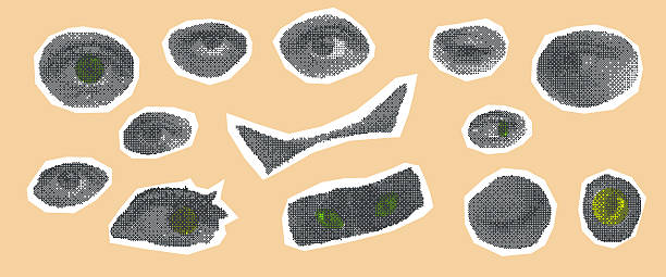 istock Halftone eyes and cats head collage set. Cutout elements for mixed media design. Pieces of newspaper or magazine elements. Vector retro illustration isolated on beige background 2227332307