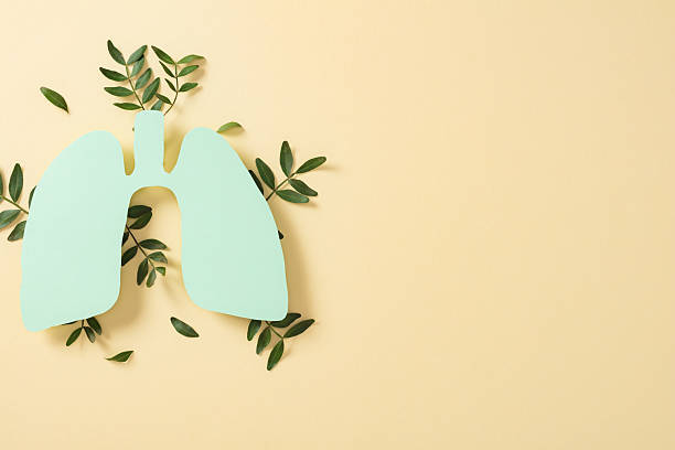 istock Eco-friendly composition with green paper lungs surrounded by vibrant leaves on beige. 2227335306