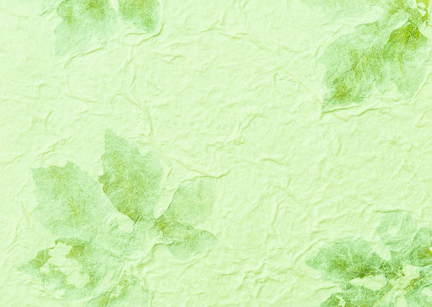 Green paper with dry leaves pattern background, blank green paper texture background