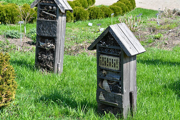 Bug hotels in the botanical garden in spring
