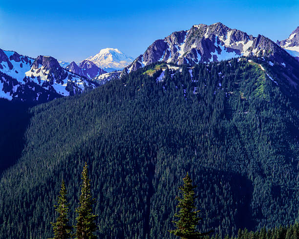 Mount Adams, an active volcano seen in the distance from Mount Rainier National Park.