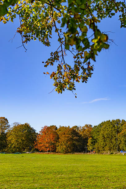 istock A beautiful autumn view Surrey England 2227344144
