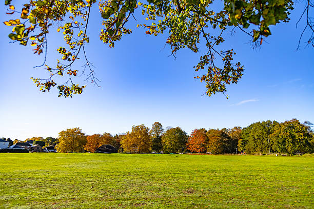istock A beautiful autumn view Surrey England 2227344182