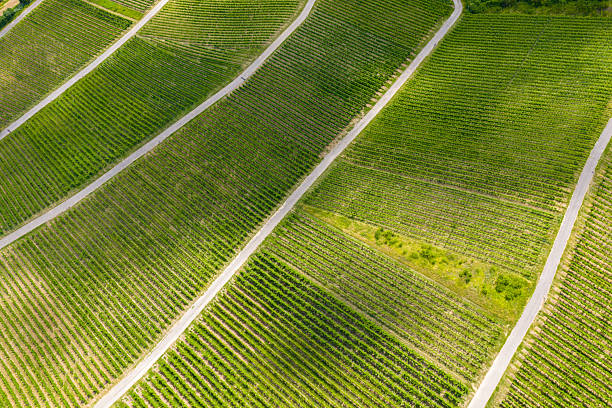 istock Moselle Valley, Luxembourg 2227347802