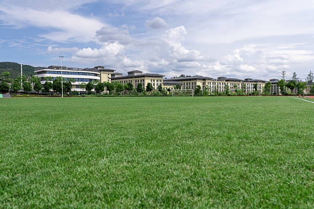 Football field grass for health training and sports competitions