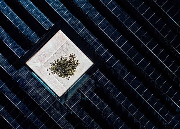 Aerial view rooftop of solar panel farm with lone tree in central courtyard