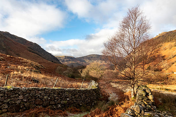 stonethwaite valley and fell borrowdale lake district cumbria on a frosty sunny winter day
