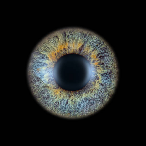 istock Extreme macro of a colorful human iris 2227356072
