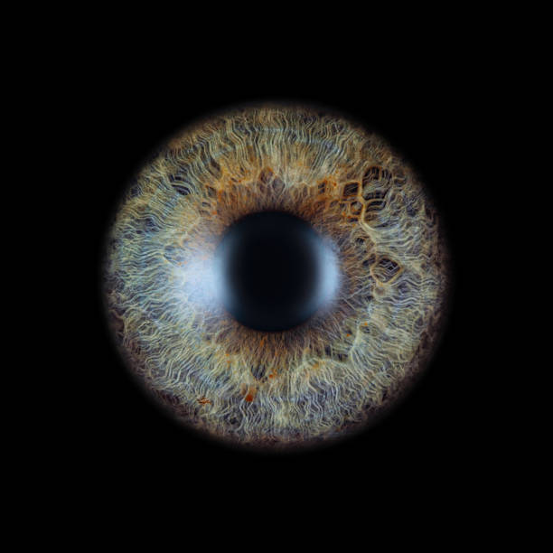 istock Extreme macro of a colorful human iris 2227356075