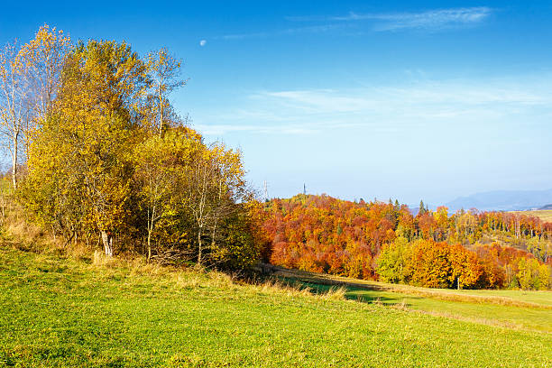 istock mountain landscape with forest in autumn 2227359692