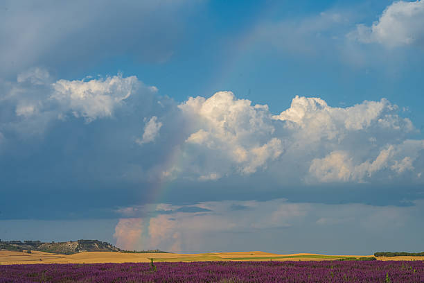 A vibrant rainbow stretches across the sky above rolling green hills under grey clouds.