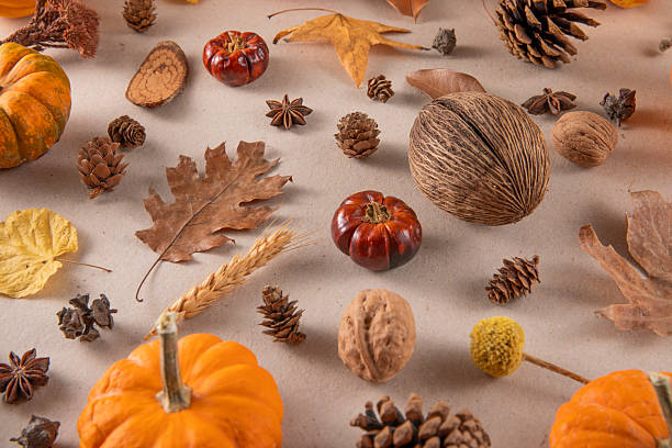 Autumnal background with mini pumpkins leaves and nuts on gray background