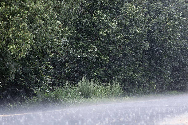 Heavy rain on a hot summer day on the road