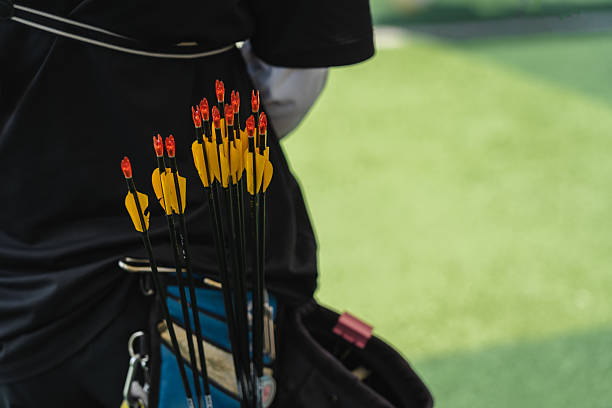 Close-up of bow and arrow in quiver