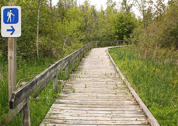 istock Beautiful quiet Walking Trail along boarded path 2227374763