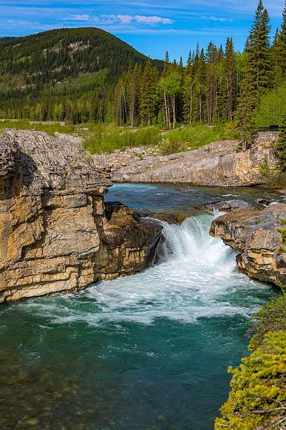 istock Elbow Falls In The Summertime 2227375610