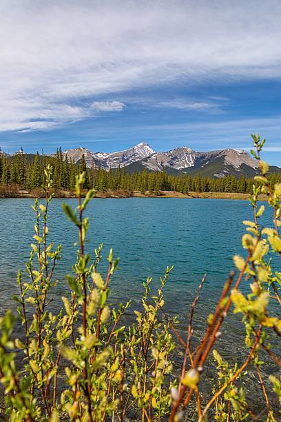 istock Mountains And Lake Peeking Through Lush Foliage 2227375715