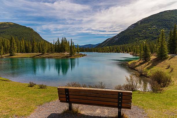 istock Bench Looking Out Over Forgetmenot Pond 2227375719