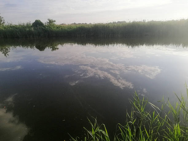 istock Reflection of white clouds on calm river forms natural harmony. blue sky is reflected in calm waters of nature small pond. Reflection beauty and peace calm feeling to water composition. 2227378158