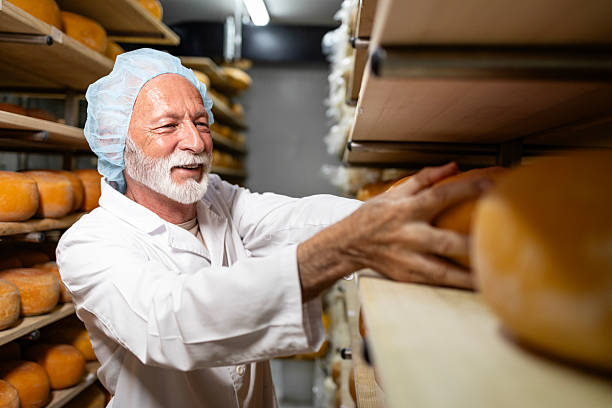 istock Working in cheesemaking dairy factory putting cheese on the shelf for aging process. 2227381803