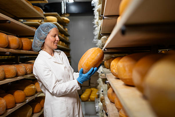 istock Controlling cheese quality inside dairy product factory. 2227381911