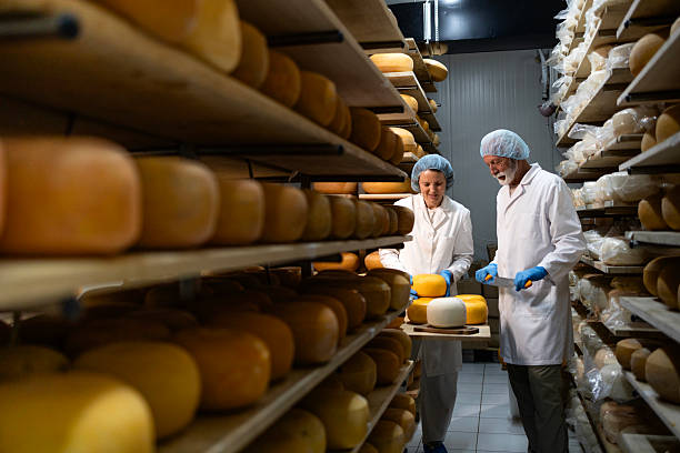 istock Premium quality cheese production. 2227382317