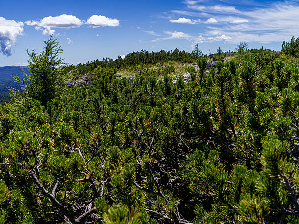 istock Mountain landscape with blue sky 2227383115