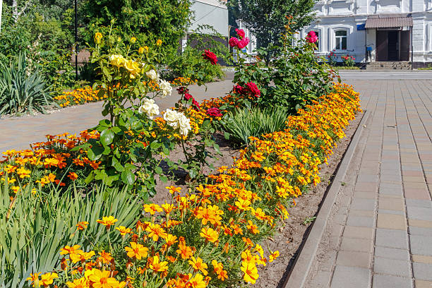istock Colorful flower bed in sunny public park 2227384220