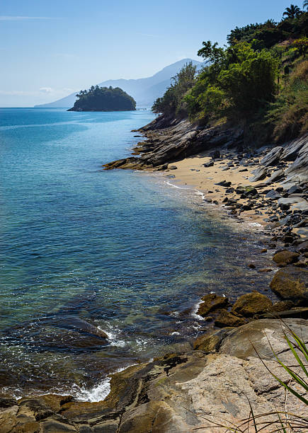 istock Rocks and trees in a beach in Brazil 2227389022