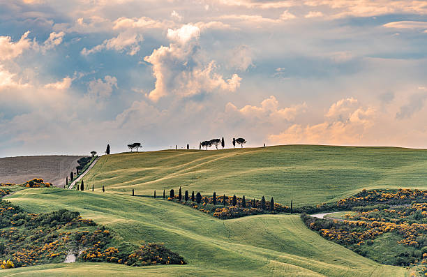 Spring view of beautiful Tuscany