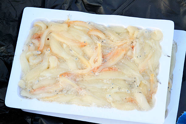 istock frozen whitebait in a market 2227391862