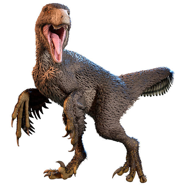 istock 3D Rendering Dinosur Dakotaraptor on White 2227392357